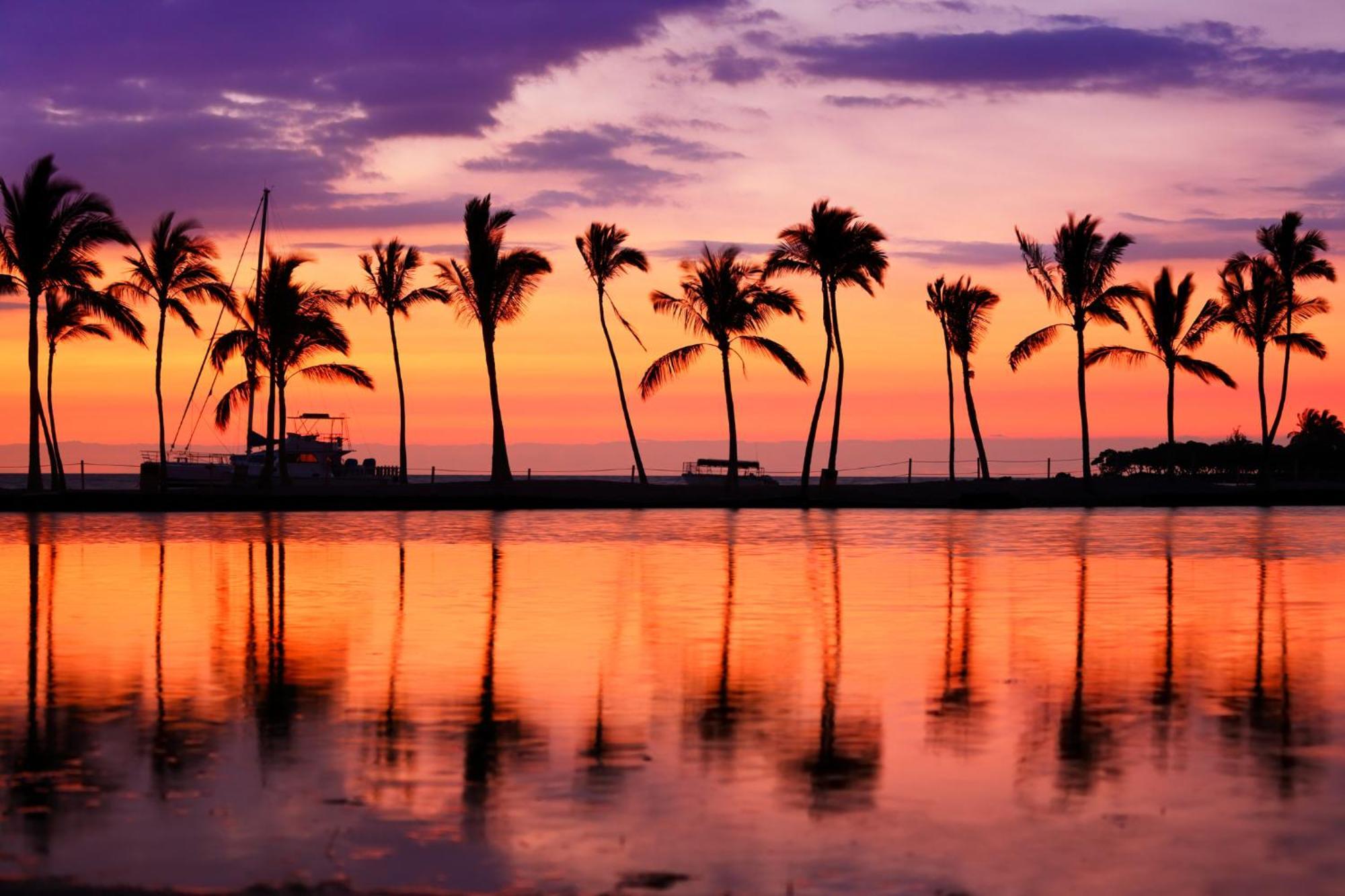Aloha Vibes With Ocean Views, Near Beach & Parking! Honolulu Kültér fotó